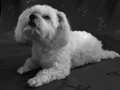 DSCF0772