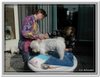 honden00082