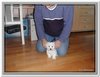 honden00116