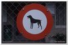 honden00001