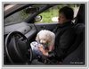 honden00112