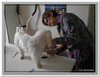 honden00072