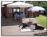honden00027
