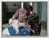 honden00081