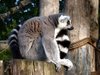 user482_pic275_1257407184