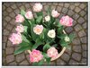 bloem00071