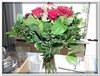 bloem00434