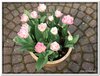 bloem00376