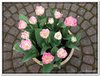 bloem00373