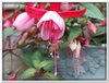 dscf1843