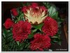 bloem00129