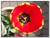 dscf2968