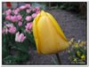 dscf2950