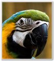 Image00062