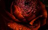 4d4b1fc0-8488-40e1-9f2a-5b5c580f71ab_6