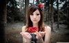 girl_with_red_rose-wallpaper-1680x1050